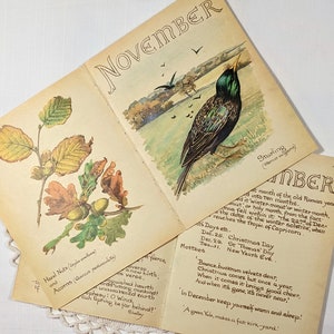 Pacote de páginas de livros vintage de Edith Holden de novembro, diário rural de uma dama eduardiana, notas da natureza, itens efêmeros, colagem, suprimentos, diário de lixo