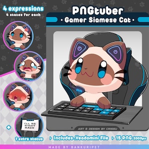 Gamer Siamesisk katt PNGTuber | Söt katt | Twitch Streaming Avatar | Vtuber-tillgångar | Rolig PNGtuber | Röstreaktiva bilder | Klar att använda | OBS