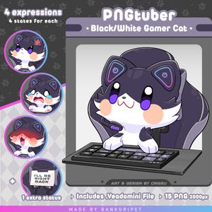 Zwart-witte gamerkat pngTuber | Schattige kat | Twitch-streamingavatar | Vtuber-activa | Grappige png-knol | Spraakgestuurde afbeeldingen |Klaar voor gebruik|OBS