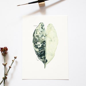 Instant Download Printable Art Botanical Print leaf Print - Etsy