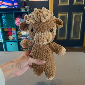 Brown Highland Cow