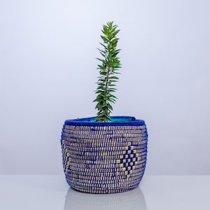 以下が含まれることがあります： 青と金の織りバスケットプランターに緑の植物が入っています。バスケットは自然素材で作られており、幾何学模様が施されています。