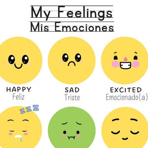 expressing and understanding feelings in English and Spanish printable educational poster