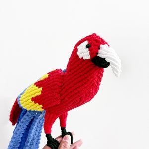 Scarlet Macaw Art/ Parrot Decor/ Red Parrot Art image 4