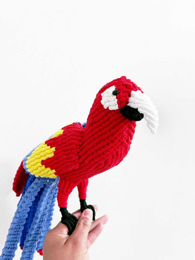 Scarlet Macaw Art/ Parrot Decor/ Red Parrot Art image 4