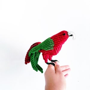 Scarlet Macaw Art/ Parrot Decor/ Red Parrot Art King parrot