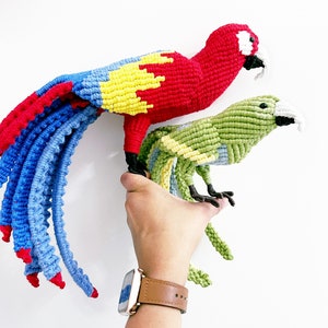 Scarlet Macaw Art/ Parrot Decor/ Red Parrot Art image 5