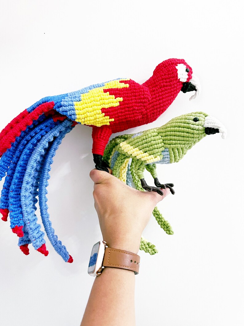 Scarlet Macaw Art/ Parrot Decor/ Red Parrot Art image 5