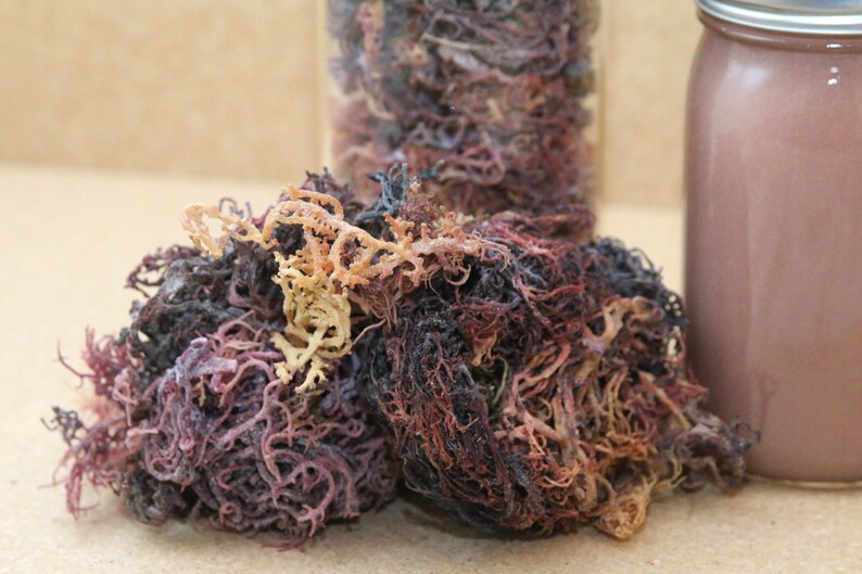 Purple & Gold Sea Moss Gel Superfood 92 Minerals Vegan Etsy