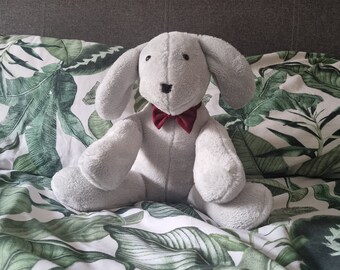Plush dog Teddy bear