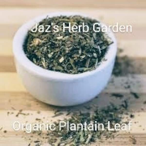 ORGANIC PLANTAIN LEAF | Certified Organic + Kosher | Plantago major | Cuckoo's Bread | Ripple Grass | Broadleaf Plantain | Use in Tea Blend