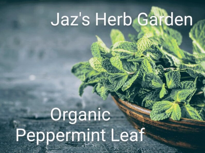 ORGANIC PEPPERMINT LEAF Certified Kosher Mentha piperita Etsy