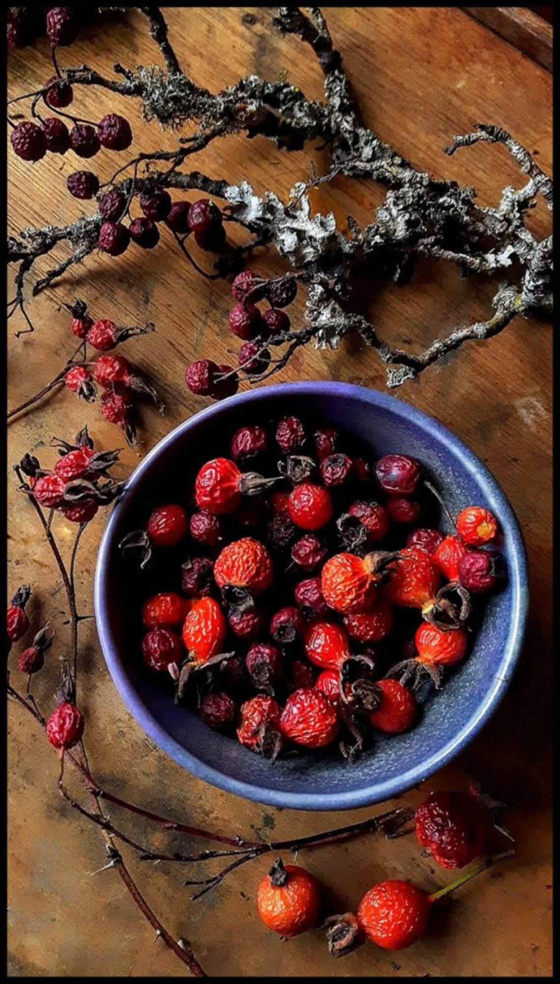 WILD HARVESTED HAWTHORN Berries Dried Berries Crataegus Etsy
