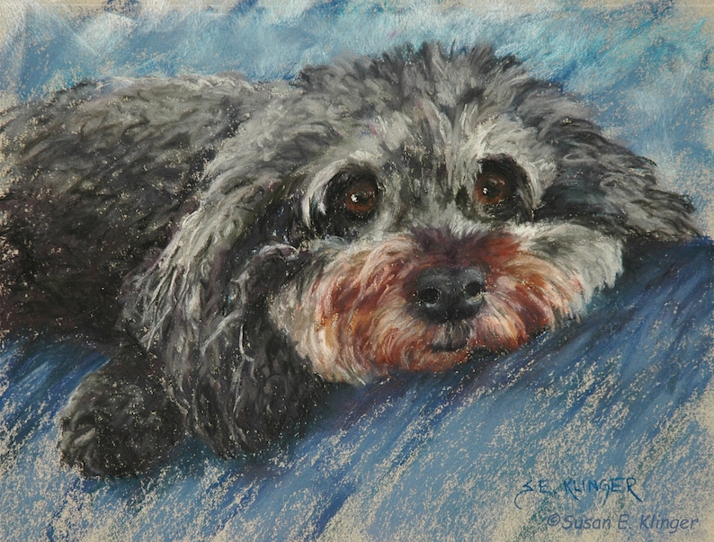 Schnoodle puppy note cards