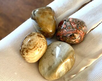 Petrified Wood Pocket Stones