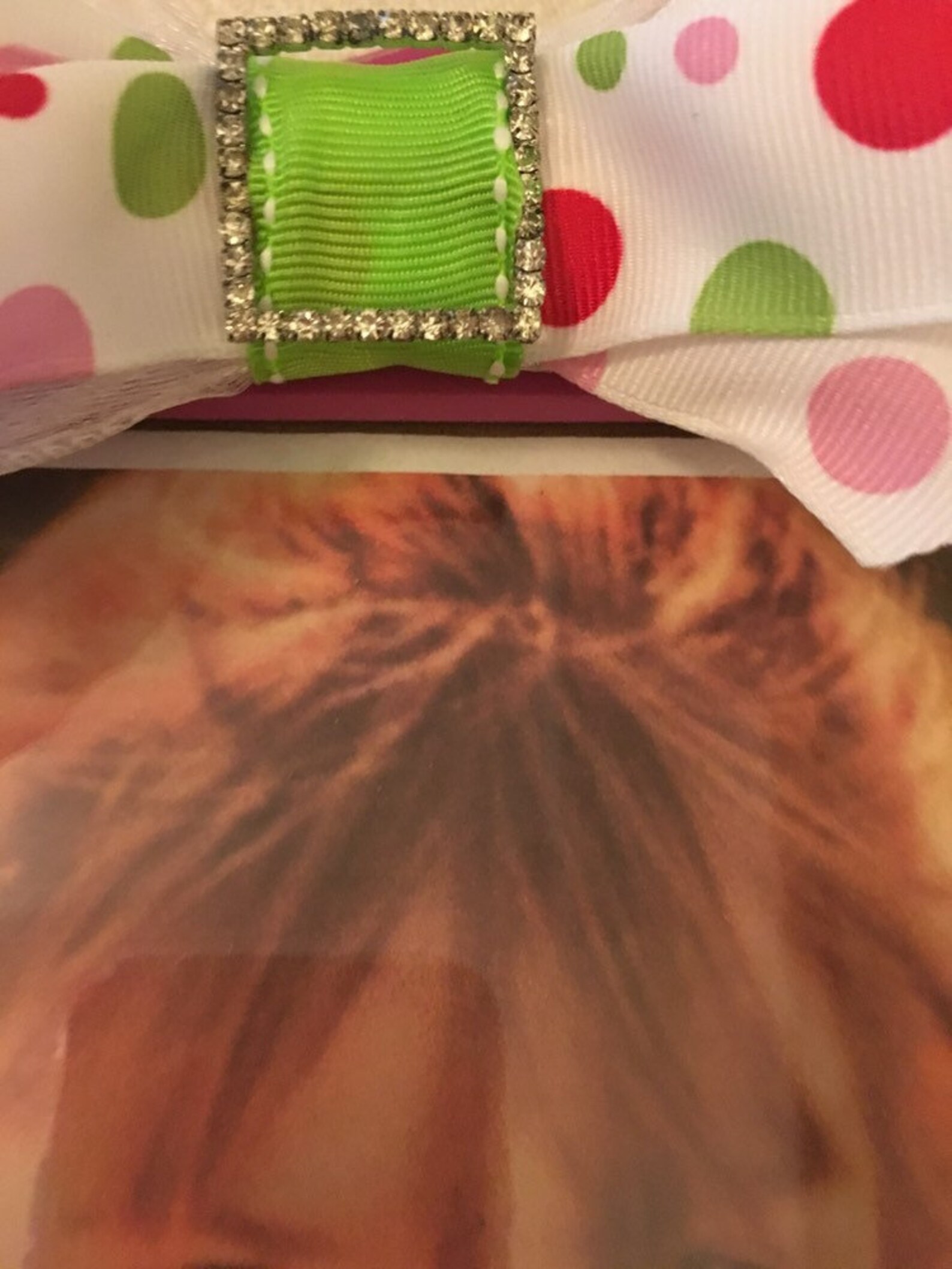 Picture Frame 5x7 Hot Pink With Pink and Green Grosgrain Polka Etsy