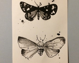 Moth drawing | Etsy