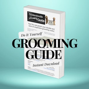 Puede incluir: Una portada de libro blanca con una imagen en blanco y negro de un perro. El título del libro es "Goldendoodle Grooming Guide" y el texto "Do It Yourself" está en letras negras grandes. El texto "Instant Download" está en un cuadro blanco con borde negro.