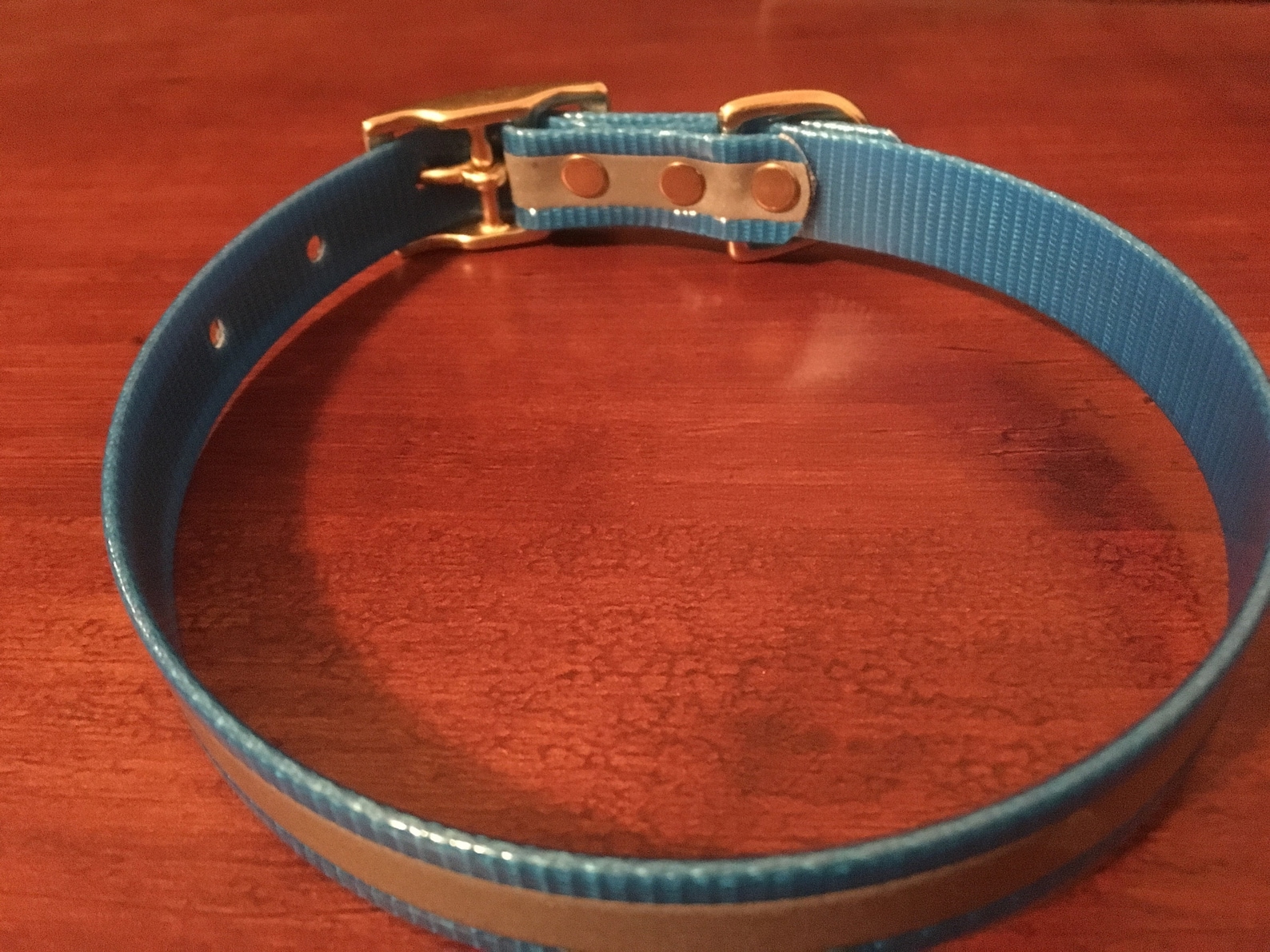 Saltwater Bass Reflective Dog Collar Etsy