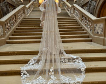 Cathedral Length Wedding Veil with Floral Lace Appliqué, Long Bridal Veil with Flowers Lace Trim, Soft Tulle Veil