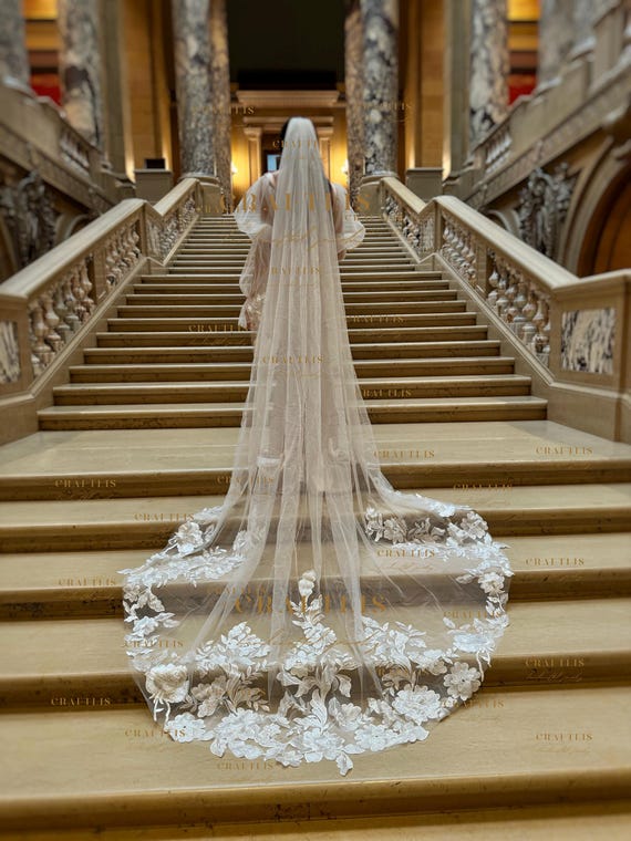 Cathedral-Length Wedding Veil with Lace Appliqué Regal Cathedral Length Bridal Veil with Lace Embroidered  main image 3