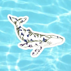 Whale Sticker | Whale Stickers | Cool Stickers | Waterproof Vinyl Stickers | Pressed Flower Art