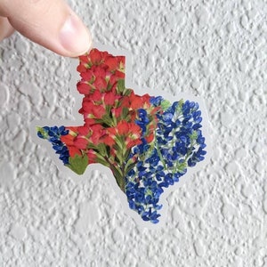 Texas Sticker | Texas Wildflowers | Texas Bluebonnets | Vinyl Texas Pressed Flower Art Sticker
