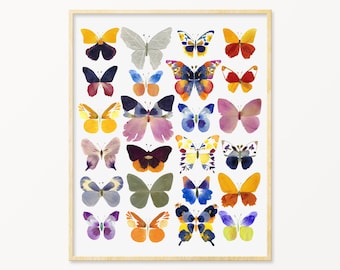 May include: A framed print featuring a collection of 24 colorful butterflies, each made from pressed flowers and arranged in a grid pattern.