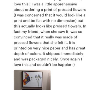 May include: Two framed prints of pressed flower butterflies. The top print features a butterfly with orange, yellow, and red wings. The bottom print features a butterfly with blue, yellow, and orange wings. Both prints are on a white background.