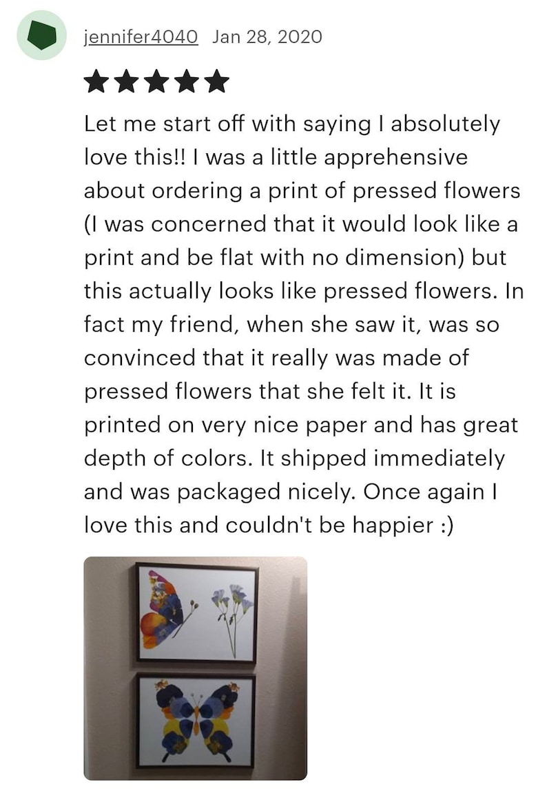 May include: Two framed prints of pressed flower butterflies. The top print features a butterfly with orange, yellow, and red wings. The bottom print features a butterfly with blue, yellow, and orange wings. Both prints are on a white background.