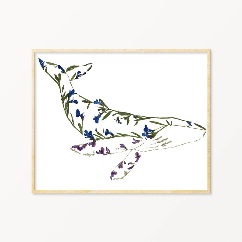 Pressed Flower Humpback Whale Art Print, Blue Whale Gifts, Whale Theme Nursery image 1