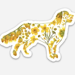 Puede incluir: Una silueta de golden retriever hecha de flores amarillas y vegetaci&oacute;n prensadas. Las flores est&aacute;n dispuestas para formar la forma de un perro.