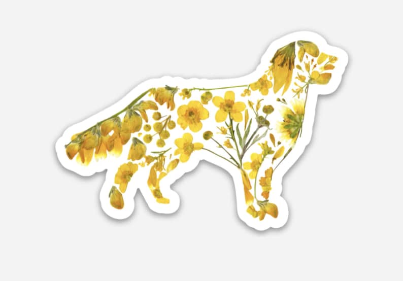 Puede incluir: Una silueta de golden retriever hecha de flores amarillas y vegetaci&oacute;n prensadas. Las flores est&aacute;n dispuestas para formar la forma de un perro.