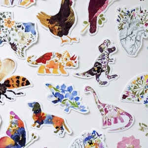 May include: A collection of colourful flower pressed stickers featuring various animal and anatomical shapes, including a chicken, a dinosaur, a heart, a brain, a butterfly, a dachshund, a mushroom, a cardinal, and a bee.