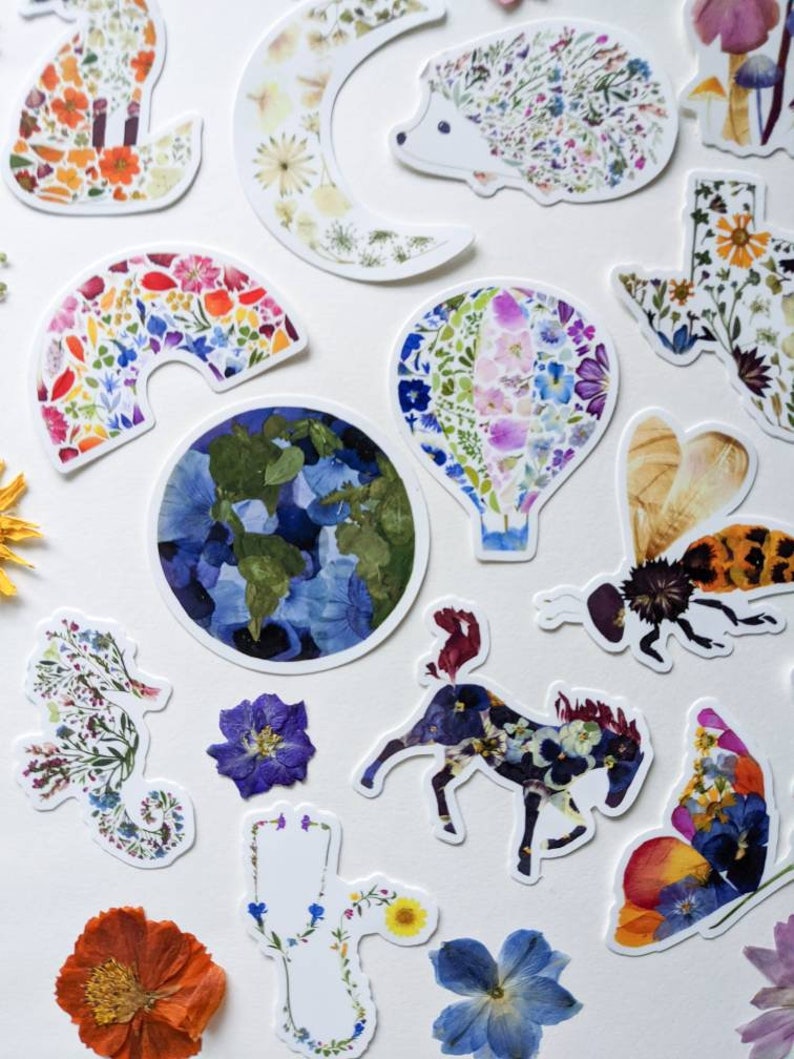 Pu&ograve; includere: Una collezione di adesivi di fiori colorati con vari disegni, tra cui un arcobaleno, una mongolfiera, un'ape, un cavallo, una farfalla, un cavalluccio marino, un riccio, una volpe, una luna, un albero e un globo. Gli adesivi sono realizzati con fiori pressati e sono perfetti per aggiungere un tocco di natura ai tuoi lavoretti e progetti.
