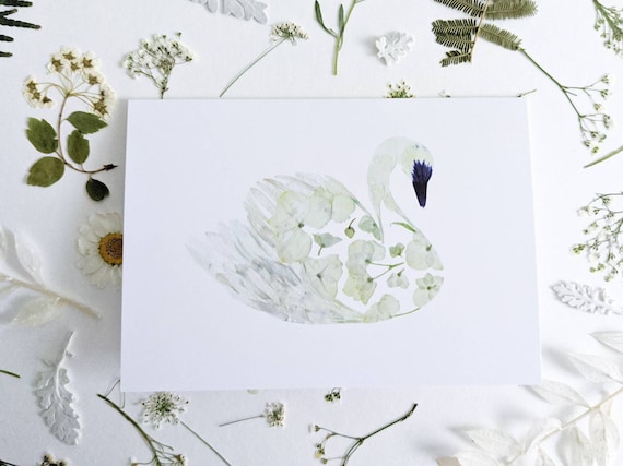 Swan Card, Pressed Flower Swan Art Print Card