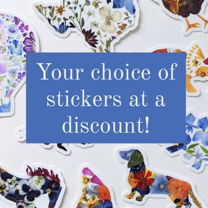 Laptop Stickers Pack, Sticker Pack Aesthetic, Cute Sticker Pack, Waterproof Stickers for Waterbottle, Pressed Flower Art Vinyl Stickers