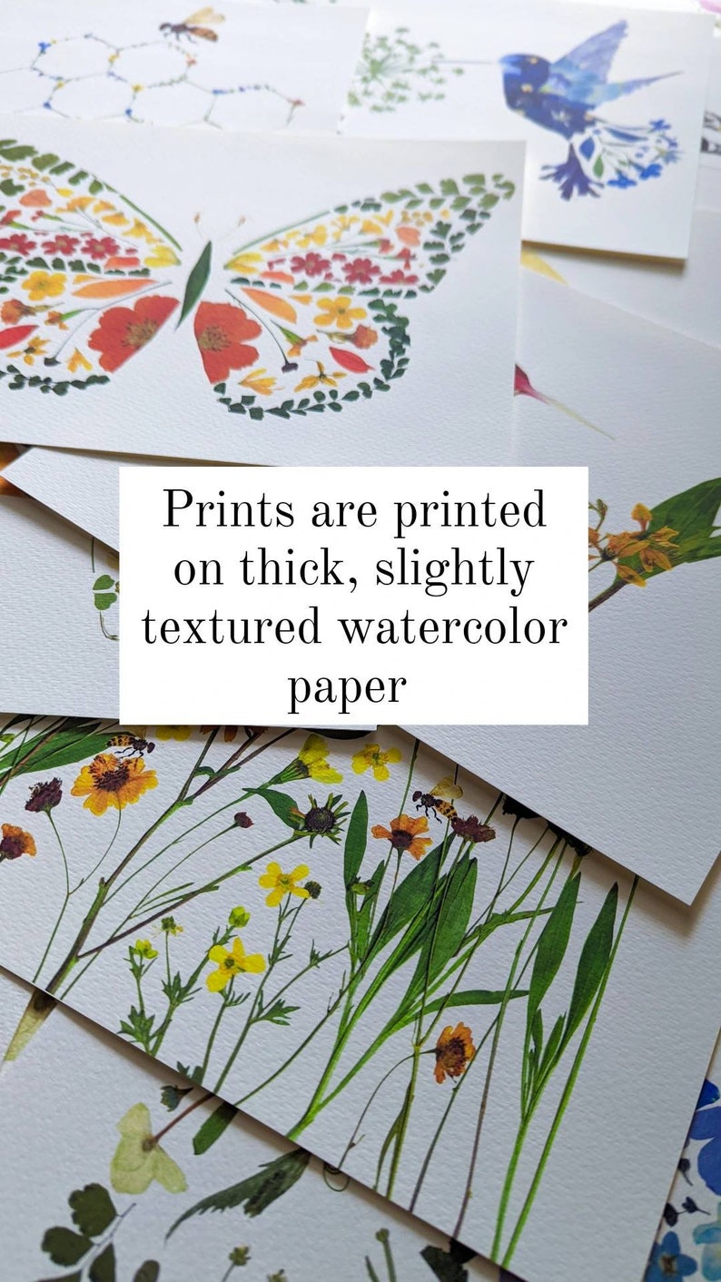 May include: A collection of prints featuring pressed flower art. The prints are on thick, slightly textured watercolour paper. The text "Prints are printed on thick, slightly textured watercolour paper" is visible in the image.