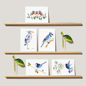 Blue Bird Cards, Blank Note Cards, Hummingbird Gifts, Blue Jay, Bluebirds, Heron Art, Pressed Flower Art Printed Greeting Cards