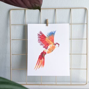 May include: A colorful bird made of pressed flowers, with red, orange, and yellow petals, is flying against a white background. The bird is framed in a gold wire grid.