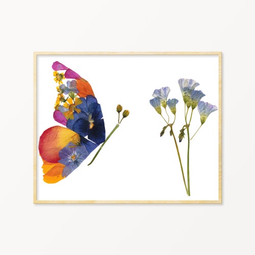 Pressed Flower Butterfly Print Etsy