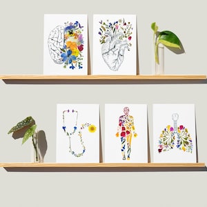 Medical Cards, Doctor Gift, Nurse Gift, Lungs Card, Anatomical Heart Cards, Brain Card, Stethoscope Card, Blank Greeting Cards