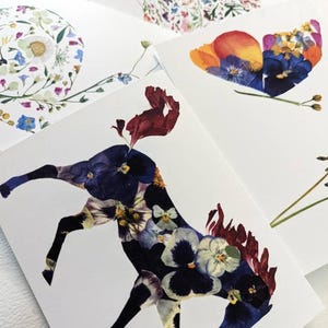 May include: A collection of white greeting cards featuring floral designs. One card depicts a horse silhouette filled with purple and white pansies. Other cards showcase a butterfly, a snail, and a floral arrangement, all made with pressed flowers.