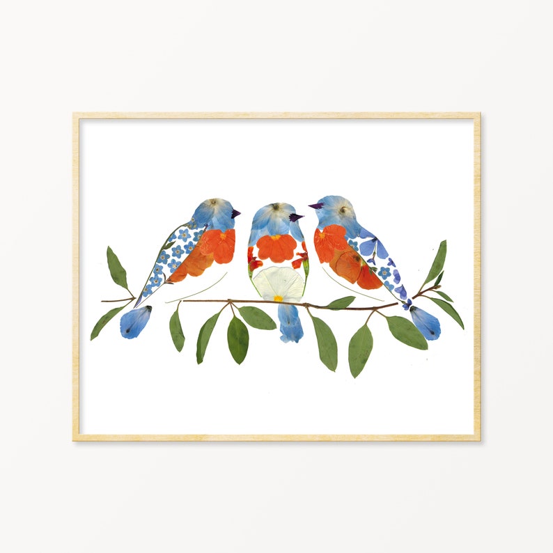 Blue Bird Pressed Flower Art Print, Eastern Bluebird Art, New Home Gift Ideas, Bird Gifts for Mom, New York Gifts, Missouri Gifts image 1