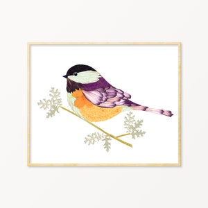 Chickadee Art, Chickadee Gift, Pressed Flower Art Print Black Capped Chickadee, Bird Prints, Christmas Birds, Maine Gifts, Massachusetts art