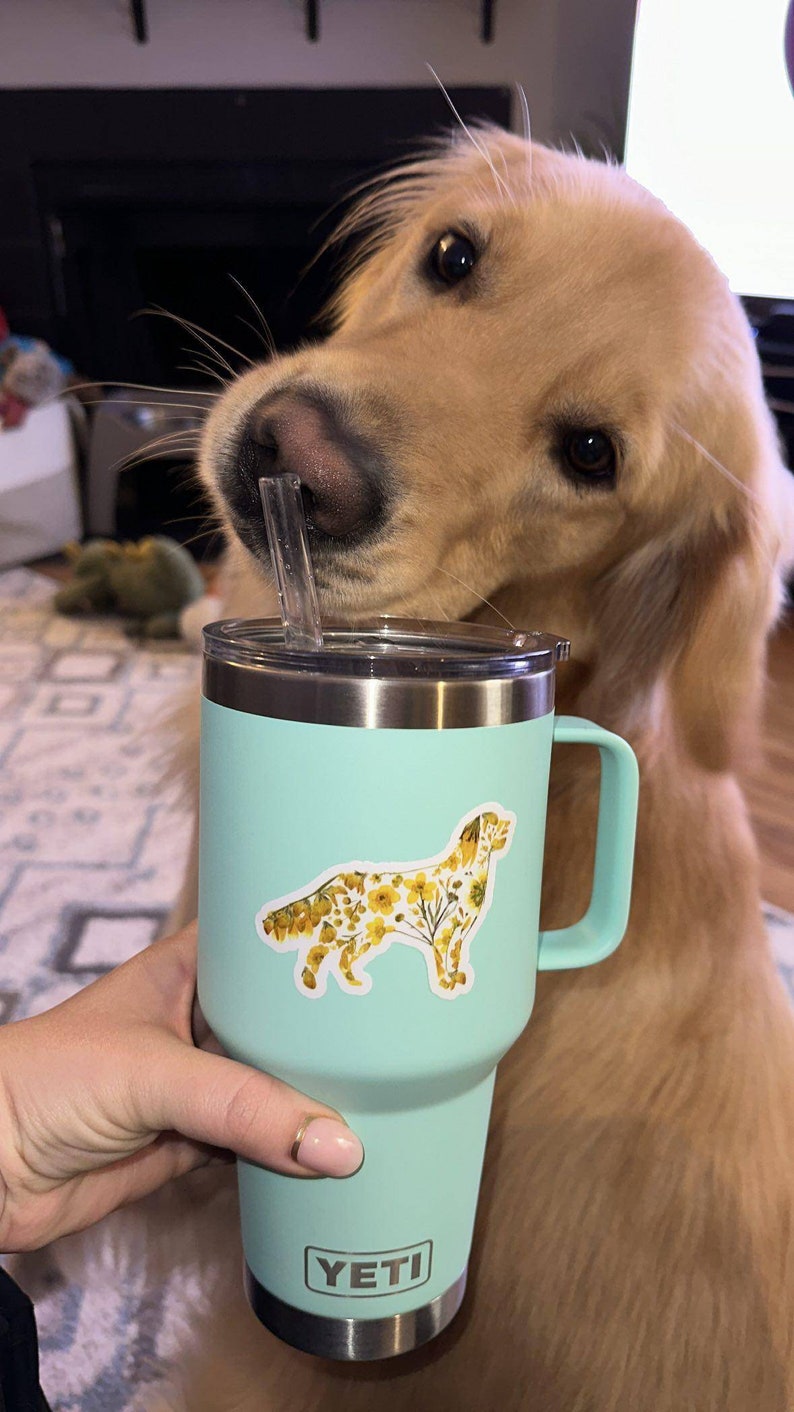 Puede incluir: Un vaso Yeti azul claro con tapa y asa de acero inoxidable. El vaso tiene una pegatina de un golden retriever con un patr&oacute;n floral. El vaso est&aacute; siendo sostenido por una mano.