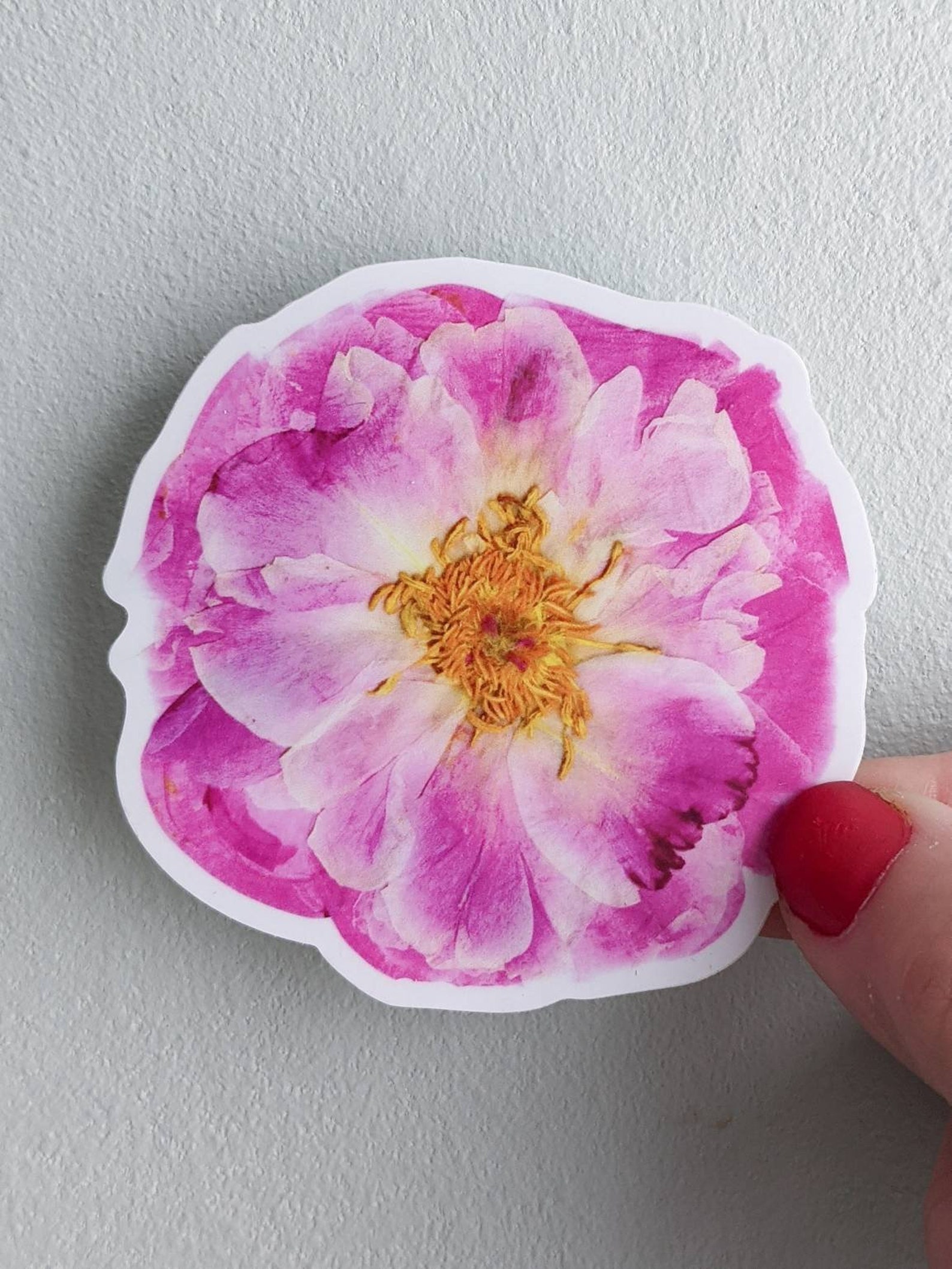 Pressed Flower Die Cut Vinyl Stickers Peony Sticker Etsy