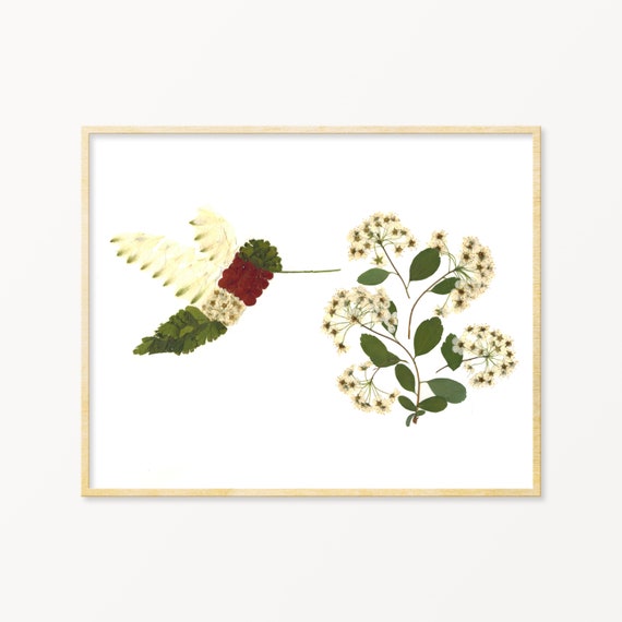 Ruby Throated Hummingbird Art, Hummingbird Print, Hummingbird Wall Art, Hummingbird Gifts, Pressed Flower Art Print