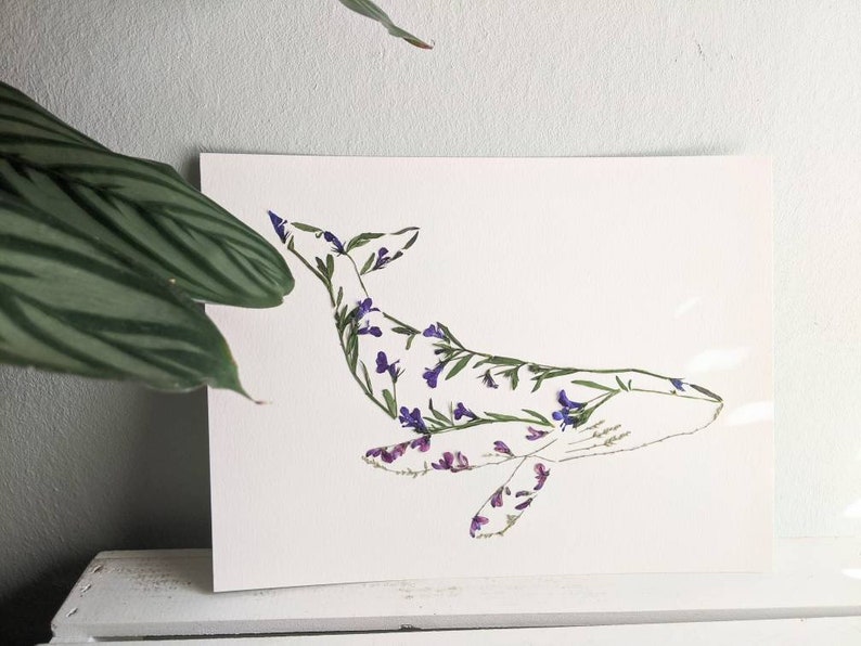 Pressed Flower Humpback Whale Art Print, Blue Whale Gifts, Whale Theme Nursery image 2