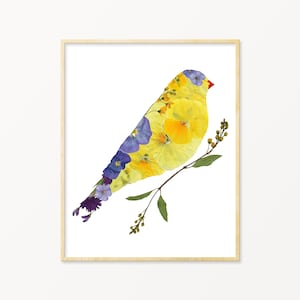 Goldfinch Pressed Flower Art Print, Bird Gifts for Mom, Iowa Gifts, Washington Gifts, New Jersey Gifts,